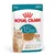 Royal Canin Ageing 15+ kastikkeessa