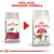 Royal Canin FIT 32 cat food packaging change: old and new bags shown side by side with red arrow, text above reads 'NEW LOOK, UPGRADED FORMULA'