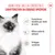 Royal Canin Kitten umido in Gelatina per gatti