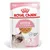 Royal Canin Kitten em gelatina