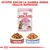 Royal Canin Kitten Sterilised