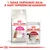 1 tasak tartalmát adja a napi tápszemcse-adaghoz. Royal Canin Feline Preference Protein Exigent száraztáp és Royal Canin Instinctive 85 g nedves eledel macskáknak csomagolásban.