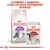 Royal Canin Regular Sensible 33 e Royal Canin Instinctive 85 g para gatos. Texto: Combine 1 saqueta com os seus croquetes diários.