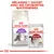 Mélangez 1 sachet avec ses croquettes quotidiennes. Paquet Royal Canin Regular Sensible 33 et sachet Royal Canin Instinctive 85 g pour chats adultes visibles.