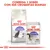 ROYAL CANIN Regular Sterilised 37 pienso para gatos esterilizados y sobre húmedo STERILISED 85 g. Texto superior: Combina 1 sobre con sus croquetas diarias.