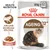 ROYAL CANIN AGEING 12+, 85g x12, hrană umedă pentru pisici, gravy. Articulații sănătoase EPA/DHA. Imagine cu o pisică și porție de hrană pe farfurie.