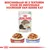 Royal Canin Ageing 12+ kattenvoer, verkrijgbaar in saus of gelei. Beschikbaar in 2 texturen voor de individuele voorkeur van iedere kat. Verpakking van 85 g.