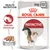 Royal Canin Instinctive Mousse, 85g x 12. Health Nutrition, instinktiv bevorzugt. Abbildung einer Katze und Mousse-Stückchen.
