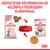 Royal Canin Kitten Sterilised 6–12 months száraz- és nedvestáp csomagolás, tálban eledel, felül: Kényeztesse kölyökmacskáját különféle érzékszervi élményekkel