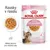 Royal Canin FHN Kitten Sterilised v želé - 12× 85 g
