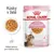 Royal Canin FHN Kitten Sterilised v želé - 12 × 85 g Royal Canin FHN Kitten Sterilised v želé - 12 × 85 g