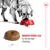 Image shows a pet eating from a bowl, with a close-up of a 1 cm kibble piece and text stating 'Adapted kibble size to encourage chewing'.