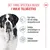 Royal Canin Giant Junior Royal Canin Giant Junior