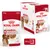 Royal Canin Medium Adult Gravy-Salsa, 10 plicuri x 140 g. Suport pentru masa musculară. Imagine cu ambalajul și cutia produsului pentru câini adulți de talie medie.
