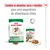 ROYAL CANIN mini UP TO 10 KG ageing 12+ ração seca e húmida, embalagem de 85 g. Texto: Combine os alimentos secos e húmidos para uma experiência de alimentação ótima.