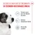 Royal Canin Mini Puppy en salsa Royal Canin Mini Puppy en salsa