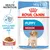 Royal Canin Puppy Medium kastike, 140 g x 10. Immuunijärjestelmän tuki. Kuvassa pentukoira ja annos kastikeruokaa. Royal Canin Puppy Medium kastike, 140 g x 10. Immuunijärjestelmän tuki. Kuvassa pentukoira ja annos kastikeruokaa.