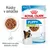 ROYAL CANIN PUPPY X-SMALL 2–10 months, 85 g x12. Kúsky v omáčke, mäkká textúra pre zúbky domáceho zvieratka. Balenie s obrázkom malého psa a porciou krmiva na tanieri.