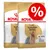 Royal Canin Adult Yorkshire Terrier száraz kutyatáp, két csomag, elöl nagy piros százalékjel akciós jelzéssel. Csomagon: Yorkshire Terrier kép és angol nyelvű információk.