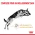 Texte : Complexe pour un vieillissement sain. Aide à soutenir la fonction articulaire. Image d’un chien en mouvement et symbole de l’articulation. Marque Royal Canin visible.