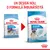 Royal Canin Junior Giant, design nou și formulă îmbunătățită. Ambalaj vechi: 45 kg. Ambalaj nou: 8–18/24 months, adult weight over 45 kg. Imagine cu două pungi de hrană.