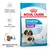 ROYAL CANIN Starter Mother & Babydog Giant 1–2 months, podpora zdraví matky a štěněte, silný imunitní systém, rehydratovatelné granule, obrázek dospělého psa a štěněte na obalu.