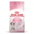 Royal Canin Kitten, jusqu’à 12 mois. Système immunitaire fort, développement cérébral. Image d’un chaton sur l’emballage. Texte en anglais et français visible.