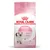 Confezione Royal Canin Kitten, scritta visibile: 'Kitten up to 12 months', immagine di un gattino, indicazioni su sistema immunitario forte e sviluppo cerebrale. Testo anche in francese.