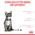 Text på engelska: 'Sterilised kitten needs are different. Fragile immune system. Risk of weight gain. Delicate digestive system.' Bild på kattunge och Royal Canin-symbol.