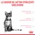 Le esigenze del gattino sterilizzato sono diverse: difese naturali immature, tendenza all’aumento di peso, sistema digestivo delicato. Marchio Royal Canin visibile.