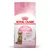 Balení krmiva Royal Canin Kitten Sterilised 6–12 months s obrázkem kotěte a texty Strong immune system, Growth & weight control, Antioxidant complex.