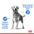 Perro con textos: 'Ayuda a mantener la masa muscular' y 'Ayuda a limitar el aumento de peso'. Iconos de perro y calorías. Logotipo de Royal Canin en la parte inferior.