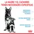 La madre y el cachorro tienen necesidades específicas: necesidades energéticas elevadas, sistema inmunitario frágil, sistema digestivo delicado. Texto en español.
