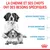 La chienne et ses chiots ont des besoins spécifiques : besoins énergétiques élevés, système immunitaire fragile, système digestif sensible. Texte en français (fr_BE).