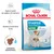 Royal Canin Starter Mother & Babydog Mini 1–2 months. Apoio à saúde da cadela e do cachorro, sistema imunitário forte, croquete reidratável. Imagem de embalagem com dois cães.