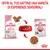 Royal Canin Kitten fino a 12 mesi: confezione di crocchette, ciotola rossa con cibo, bustina da 85 g e ciotola con bocconcini. Testo: Offri al tuo gattino una varietà di esperienze sensoriali.
