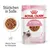 Royal Canin Kitten bis zu 12 Monate, Stückchen in Sosse, 85g x 12. Weiche Textur für Milchzähne.