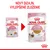 Royal Canin Kitten 85 g – porovnanie starého a nového balenia s textom: Nový dizajn, vylepšené zloženie. Viditeľné informácie: pre mačiatka do 12 mesiacov, bez konzervantov.