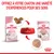 Royal Canin Kitten croquettes et sachet fraîcheur 85 g, pour chatons jusqu’à 12 mois, présentés avec gamelle rouge Royal Canin et aliments visibles. Texte : Offrez à votre chaton une variété d’expériences pour ses sens.