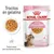 Royal Canin FHN Sterilised Kitten en gelatina - 12 x 85 g Royal Canin FHN Sterilised Kitten en gelatina - 12 x 85 g