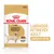 Royal Canin Labrador Retriever Adult, 140g, prilagođena tekstura za idealnu težinu. Pogodno za pse starije od 15 mjeseci.