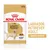Labrador Retriever Adult food, 140g pouch, adapted texture, ideal weight. Suitable for dogs over 15 months old. Brand: Royal Canin. Labrador Retriever Adult food, 140g pouch, adapted texture, ideal weight. Suitable for dogs over 15 months old. Brand: Royal Canin.