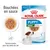 Royal Canin Puppy Mini 2–10 months, bouchées en sauce, sachet 85 g x12, texture tendre pour les dents de lait, illustration d’un petit chien et du produit dans une assiette.