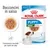 Royal Canin Puppy Mini 2-10 months, bocconcini in salsa, confezione da 85 g x12, consistenza morbida per denti da latte, immagine di cane e ciotola con alimento umido. Royal Canin Puppy Mini 2-10 months, bocconcini in salsa, confezione da 85 g x12, consistenza morbida per denti da latte, immagine di cane e ciotola con alimento umido.