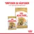 Royal Canin tørfoder og vådfoder til Shih Tzu Adult, 85 g pose og stor sæk. Tekst: Tørfoder og vådfoder til en optimal foderoplevelse. Healthy skin & coat.