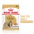 Royal Canin Shih Tzu Adult mokra hrana, 85g, za pse starije od 10 mjeseci. Ukusna tekstura, podržava zdravu kožu i dlaku.