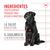 Royal Canin Digestion Adult suplemento masticable
