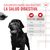 Royal Canin Digestion Adult suplemento masticable