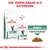 Royal Canin Veterinary Diabetic kattenvoer droog en nat, tekst: ook verkrijgbaar als natvoeding, diabetic, fijne plakjes in saus. Afbeelding van brokjes in saus.