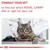 Consult your vet to find out which Royal Canin diet is right for your cat. Image shows a cat at the vet with a person in a white coat.